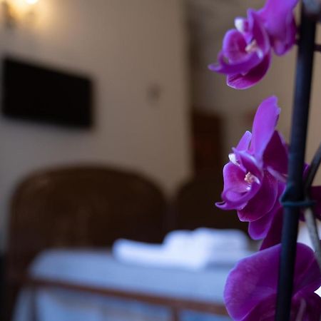 Citta Di Castello Rooms المظهر الخارجي الصورة