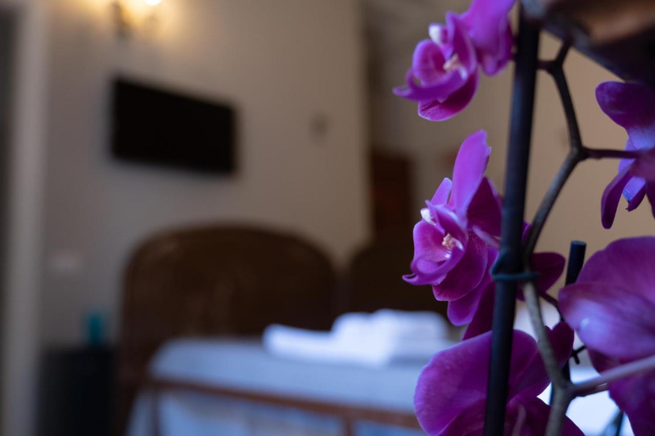 Citta Di Castello Rooms المظهر الخارجي الصورة